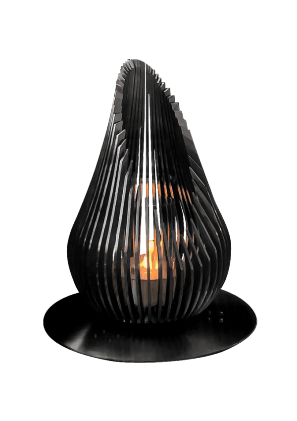 Tulip 100