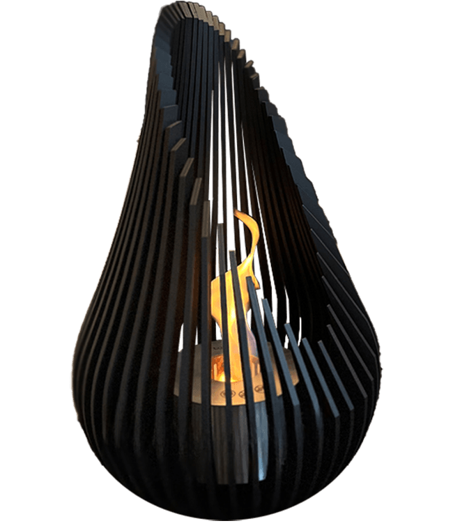 Tulip 60