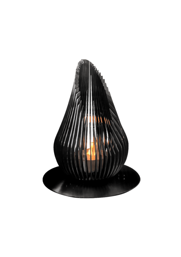 Tulip 80